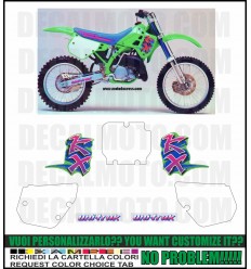 KX 250 1991